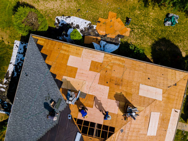 Best Residential Roofing Contractor  in Bamberg, SC